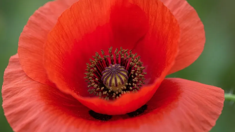 Conservation optimale huiles de massage